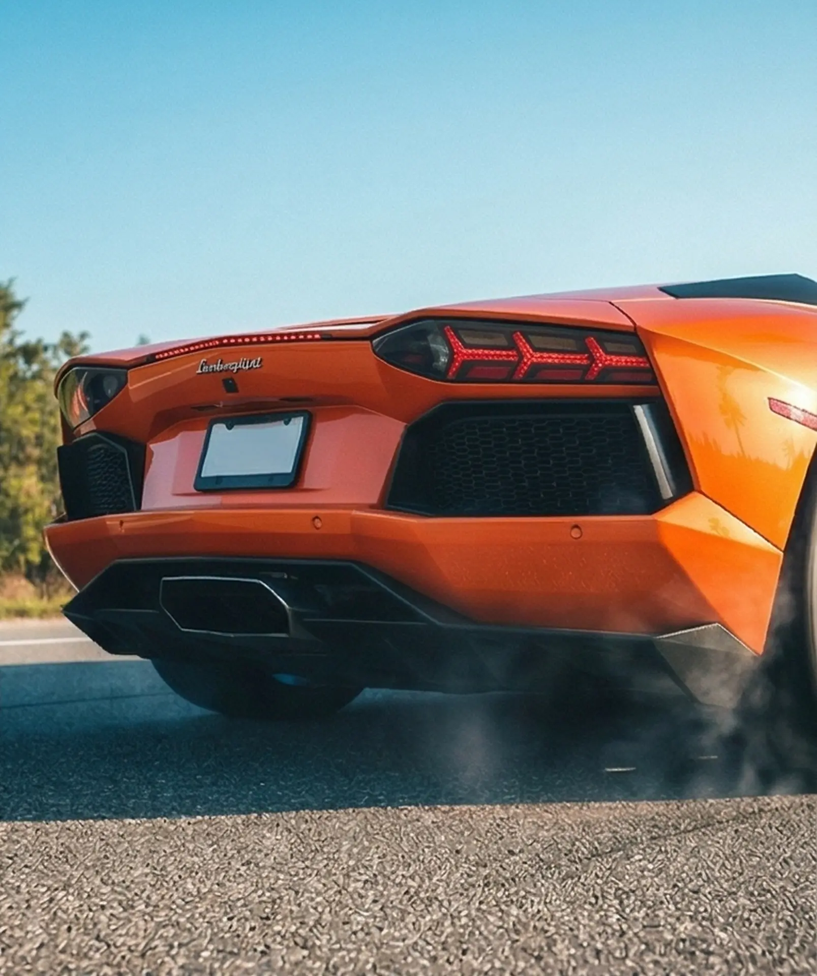 Orange Lamborghini on a palm-lined road